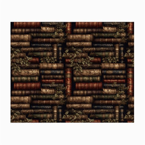 The Librarian Small Glasses Cloth (2 Sides)