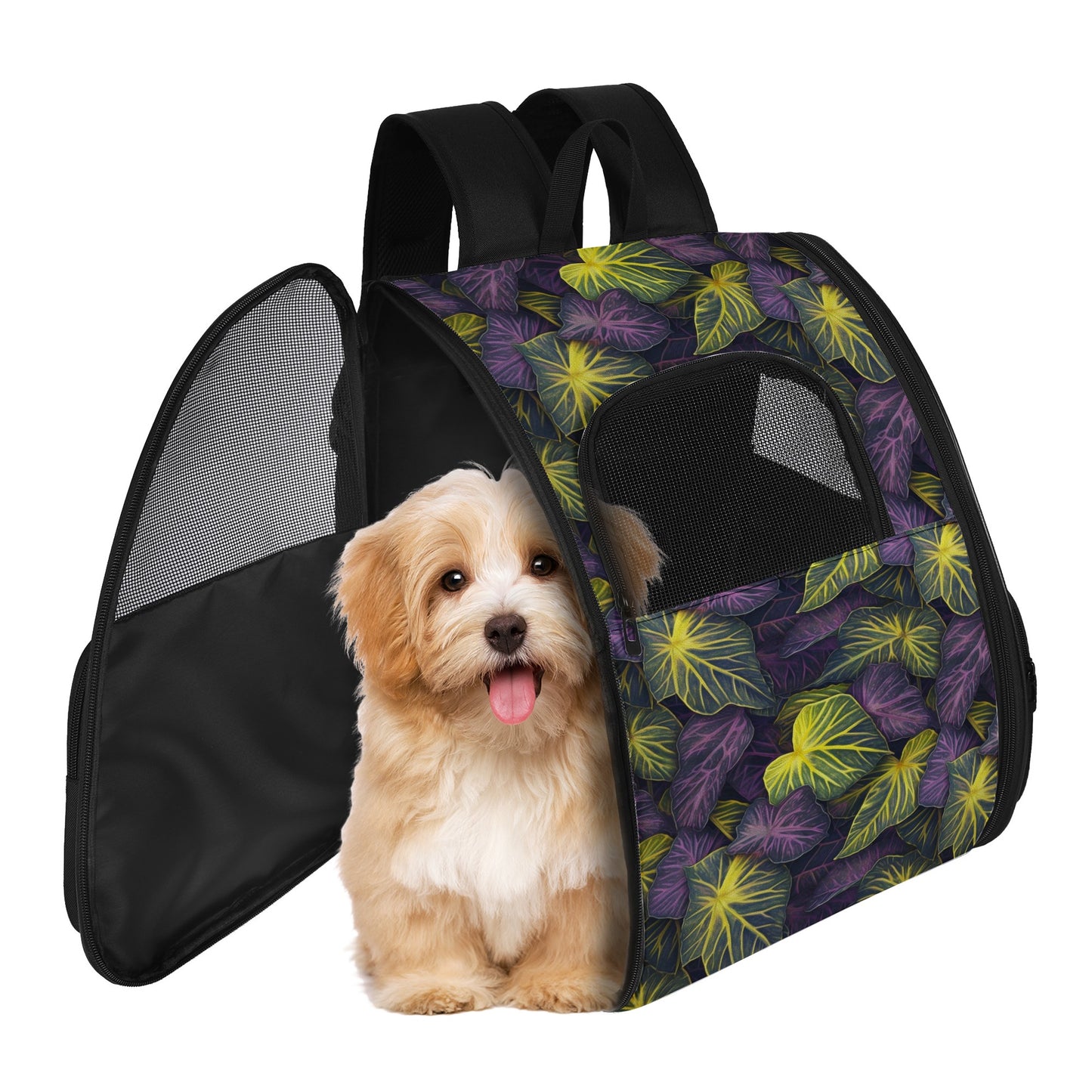 Luxtrini Iridescent Syngonium: Purple and Yellow Pet Carrier Backpack