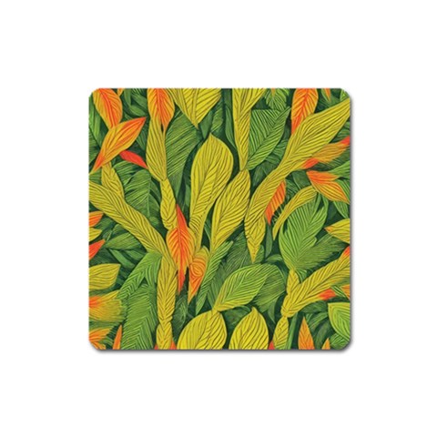 Indian Shot Magnet (Square)