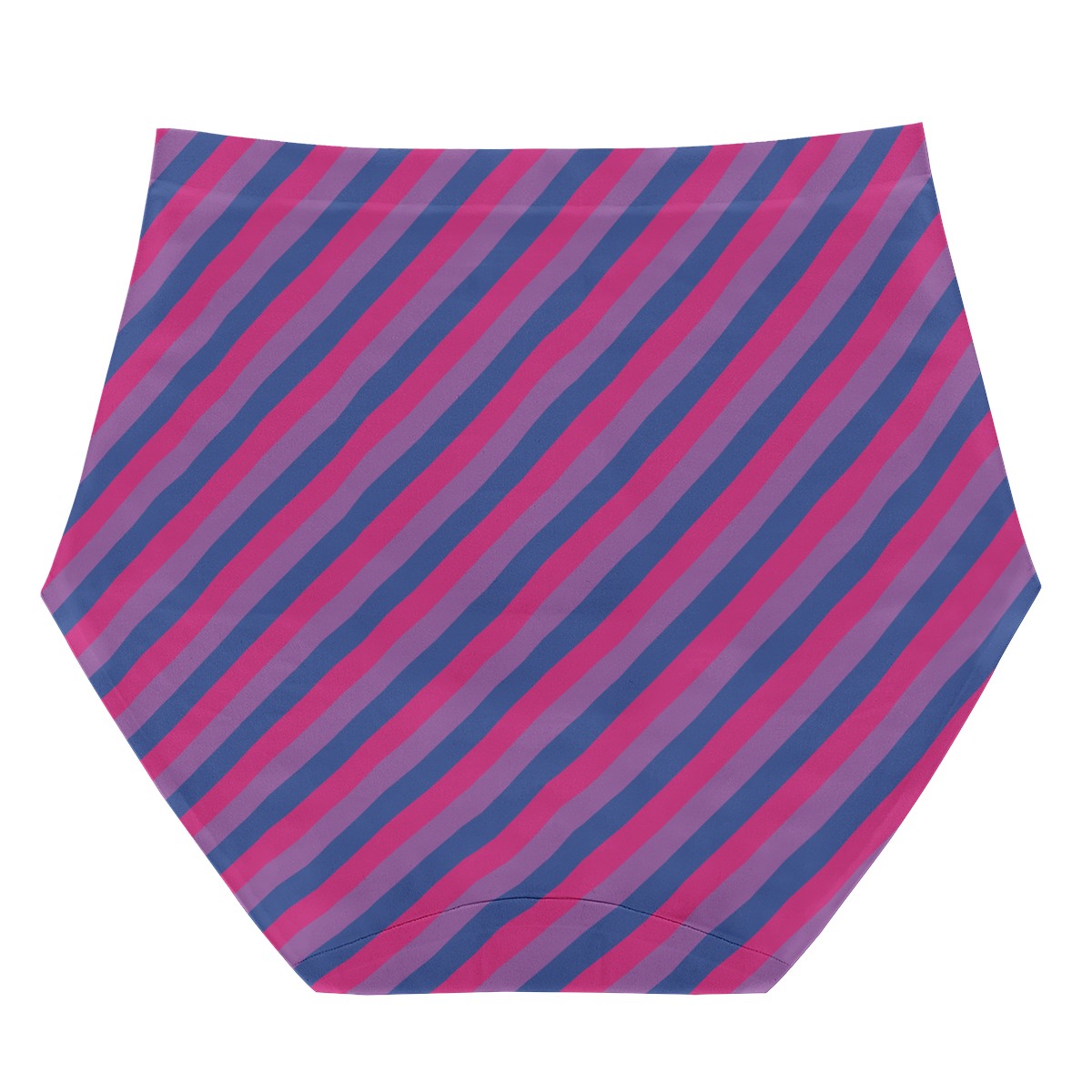 Bisexual Pride Women's High Waisted Briefs