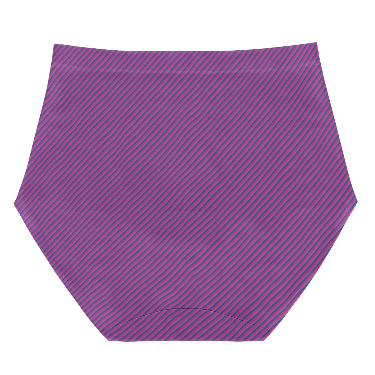 Bisexual Pride Women's High Waisted Briefs
