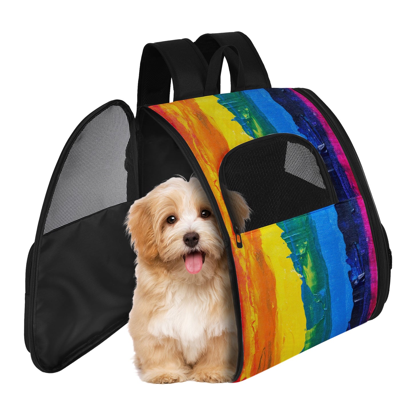 Rainbow Painting Pet Carrier Backpack